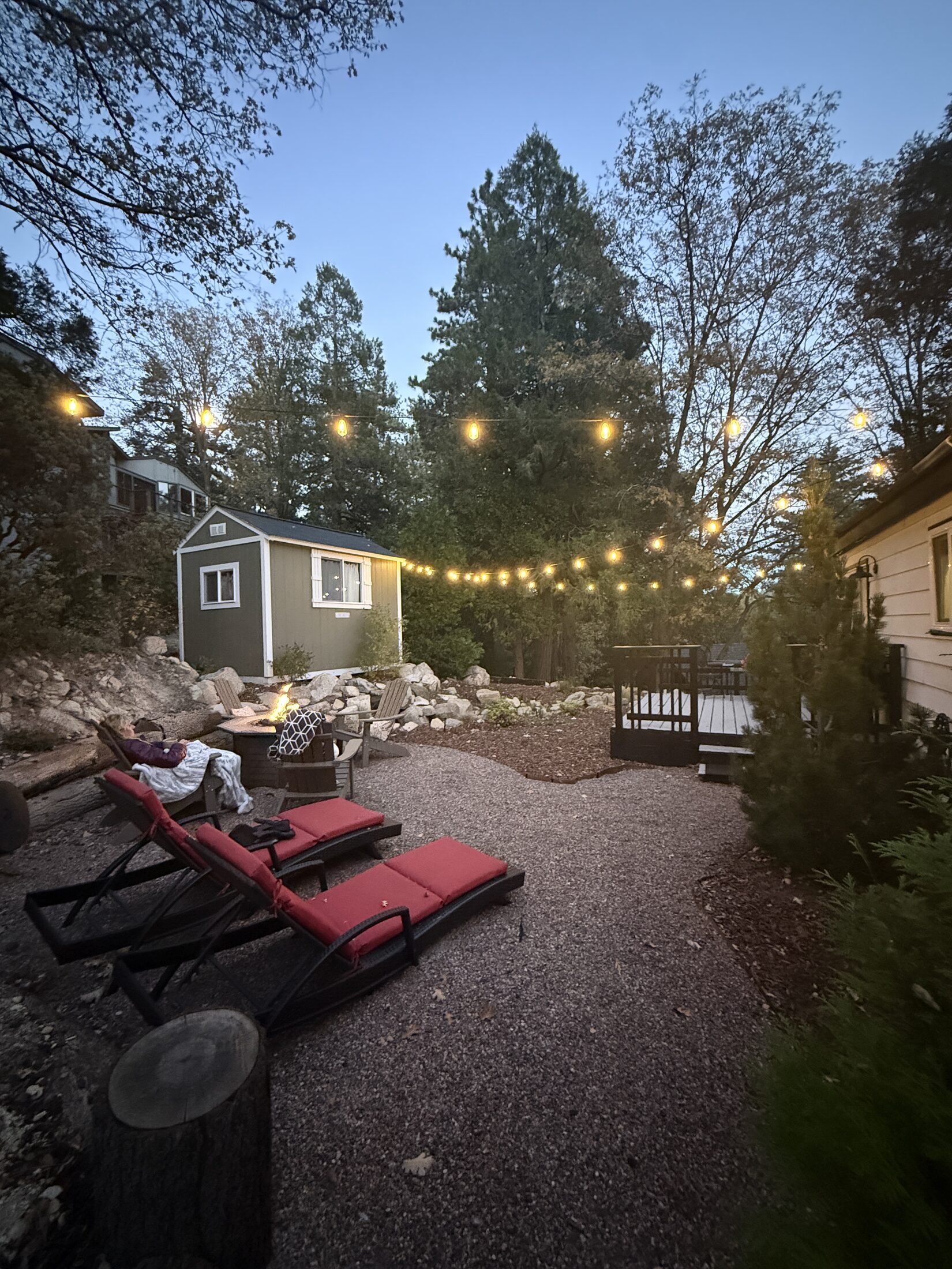 Backyard in the evening